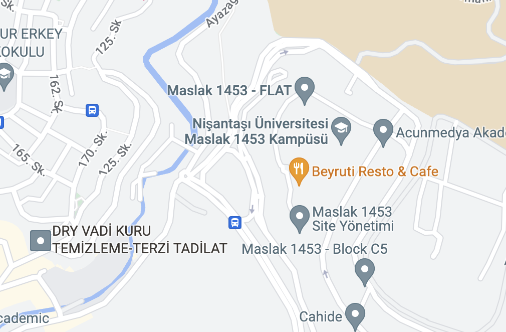 Maslak mahallesi , taşyoncası sokak , Maslak 1453 sitesi , T4A
              blok , daire 17 , sariyer , ISTANBUL